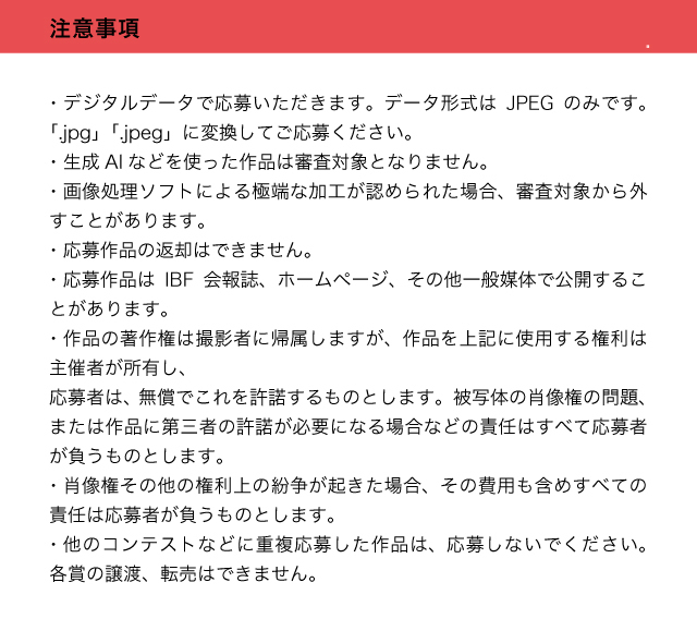 2025フォトコンテスト結果発表